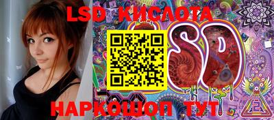 spice Кандалакша