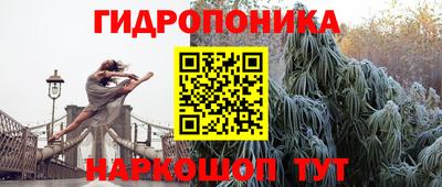 spice Кандалакша