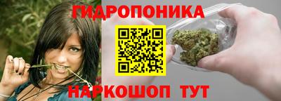 spice Кандалакша